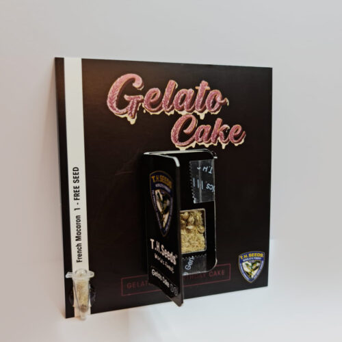 T.H.Seeds™ Cannabis Seeds Gelato torta