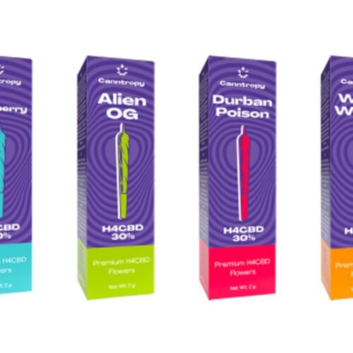 Canntropy H4CBD preroll csomag
