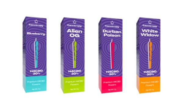 Canntropy H4CBD preroll csomag