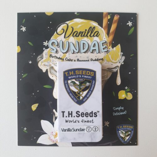 T.H.Seeds™ Cannabis Seeds Vanília Sundae