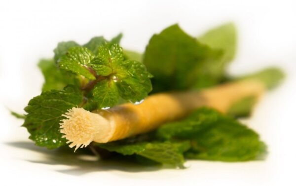 SIWAK Natural fogkefe Természetes tok - Menta