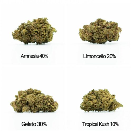 HHC Flowers mintakészlet - Tropical Kush 10%