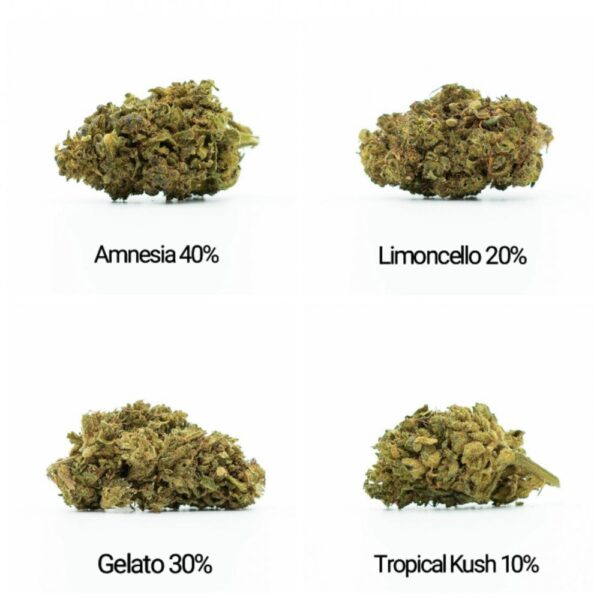 HHC Flowers mintakészlet - Tropical Kush 10%
