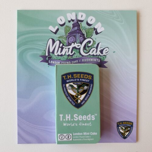 T.H.Seeds™ Cannabis Seeds London Menta torta