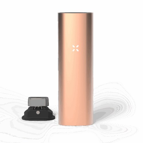 PAX 3 Párologtató alapkészlet - matt rózsa arany