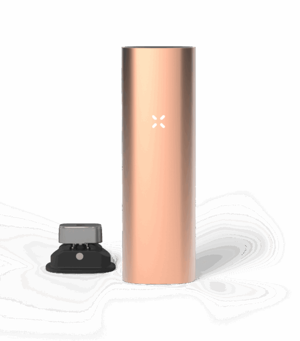 PAX 3 Párologtató alapkészlet - matt rózsa arany