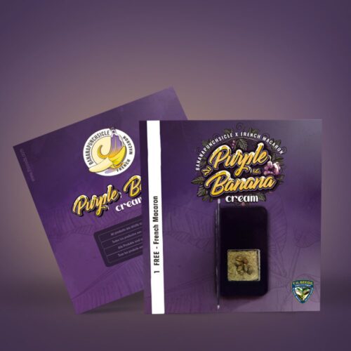 T.H.Seeds™ Cannabis Seeds Purple Banana Cream