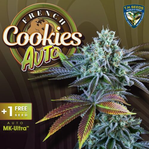 T.H.Seeds™ Cannabis Seeds Auto French Cookie-k