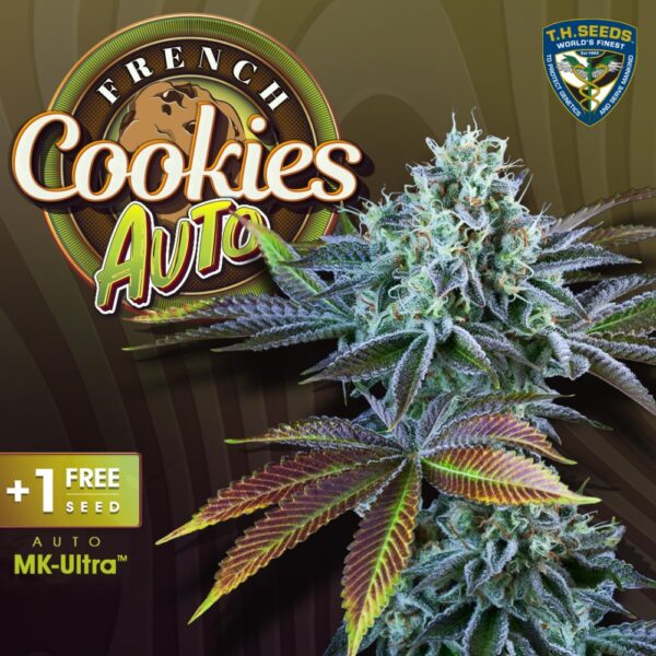 T.H.Seeds™ Cannabis Seeds Auto French Cookie-k