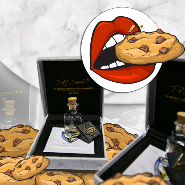 T.H.Seeds™ Cannabis Seeds Limited normál kiadású francia Kisz