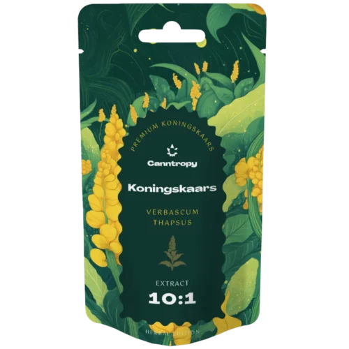 Canntropy Koningskaars (Verbascum thapsus) kivonat 10:1