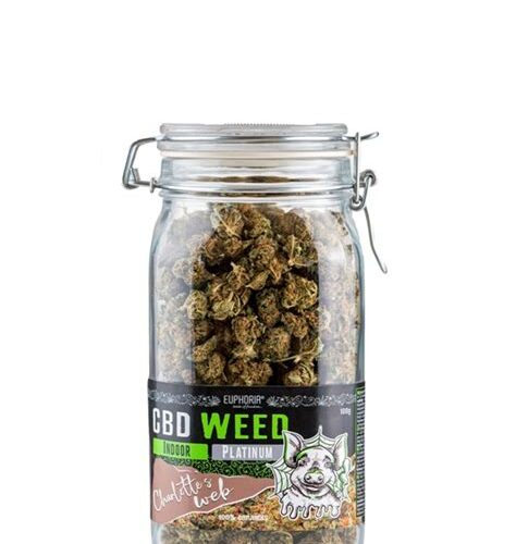 Euphoria CBD Weed Glass Charlotte háló