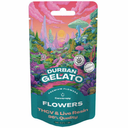 Canntropy THCV Flower Durban Gelato élő gyanta terpének