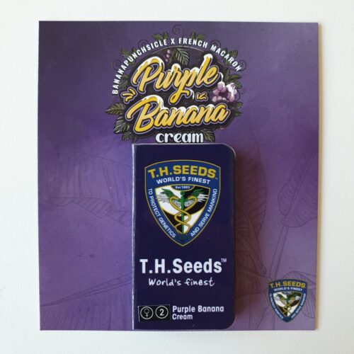 T.H.Seeds™ Cannabis Seeds Purple Banana Cream