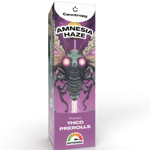 Canntropy THCD Preroll Amnesia Haze