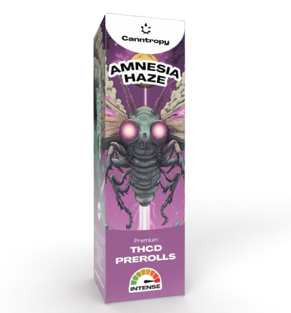 Canntropy THCD Preroll Amnesia Haze