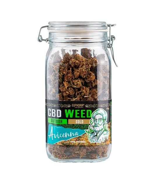 Euphoria CBD Weed Glass Avicenna